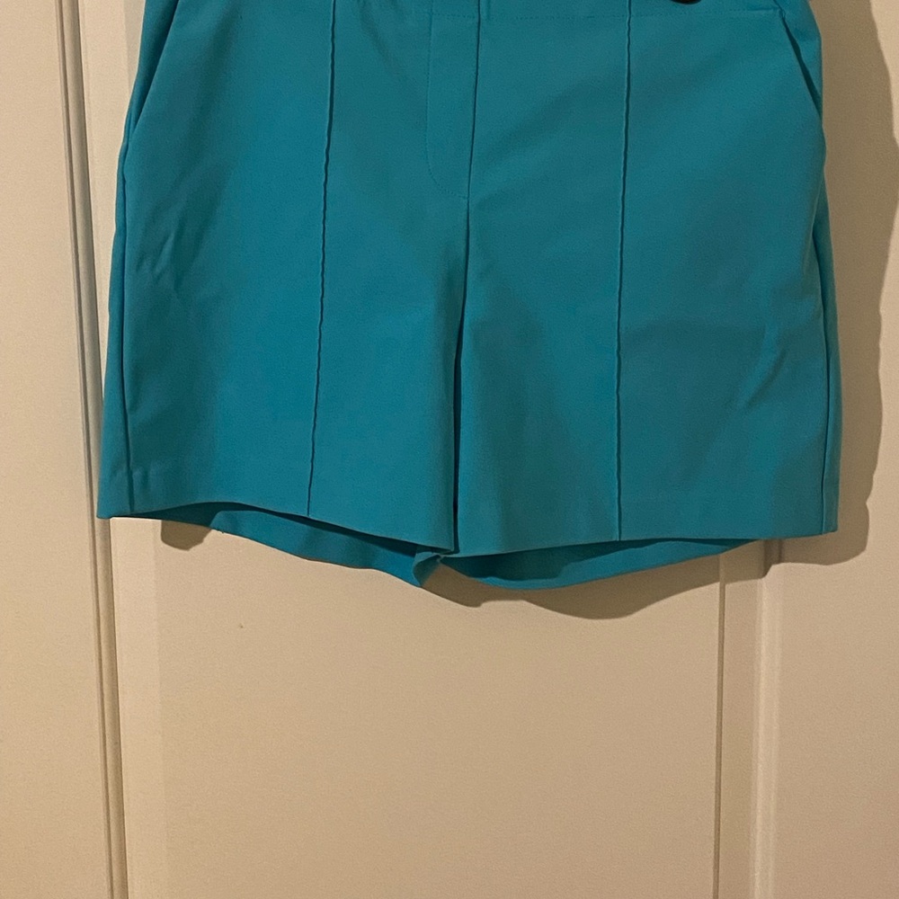 Rachel Zoe Aqua Blue shorts with pockets.